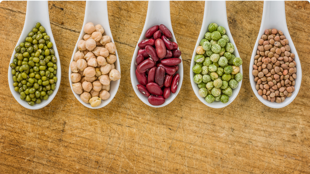 Lire la suite à propos de l’article La place des légumineuses dans le cadre d&rsquo;une alimentation SOPK