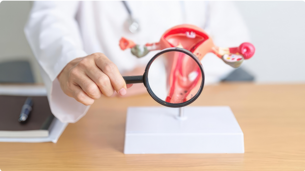 Lire la suite à propos de l’article PMA : mieux comprendre pour mieux avancer